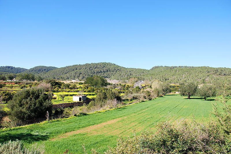 Construir en Suelo Rústico en Ibiza