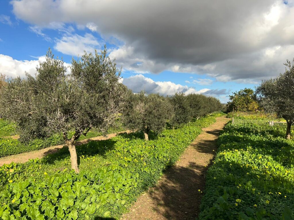 Finca Agrícola en Venta en Ibiza